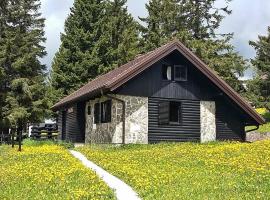 Chalet Klara，位于Resnik的酒店