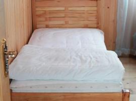 abastumani, otel，位于Abastumani的酒店