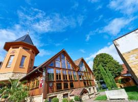 Dohlmühle Hotel & Weingut，位于弗隆海姆的酒店