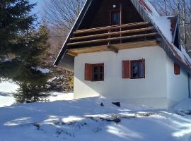 Holiday Home Ema，位于Plešin的酒店