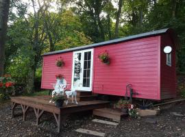 Borthwickbrae Shepherd's Hut，位于霍伊克的酒店