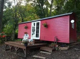 Borthwickbrae Shepherd's Hut