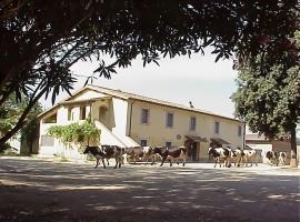 Biobagnolese Agriturismo，位于奥尔泰的农家乐