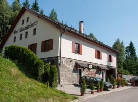 Pod Slamníkem，位于多尔尼莫拉瓦的旅馆