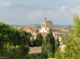 Comfortable Gite (2) in attractive Languedoc Village