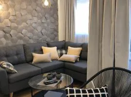 Family & Business Sauna Apartments Rynek Centrum Downtown - 2 Bedroom with Private Sauna, Balcony, Parking