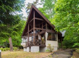 Izumigo AMBIENT Azumino Cottage，位于安昙野市的山林小屋