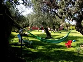 Case Vacanza la Bella