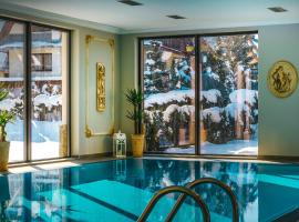 Hotel Paryski Art & Business Zakopane - Basen Jacuzzi Sauna Małpi Gaj，位于扎科帕内的酒店