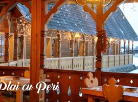 "Plai cu Peri"，位于瑟彭察的酒店