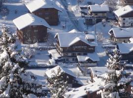 雪之花酒店，位于莫尔济讷杜普兰内滑雪缆车附近的酒店