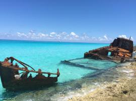 Bimini Seaside Villas - Pink Cottage with Beach View，位于爱丽丝镇的别墅