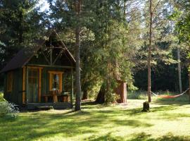 Saia Forest House，位于Voose的木屋
