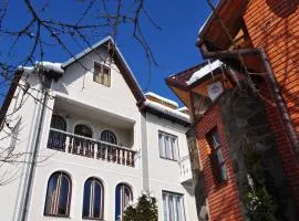 萨迪巴季思科波维特利亚旅馆