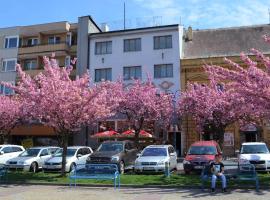 Hotel Pošta，位于德辛的酒店