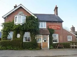 The Oak at Dewlish