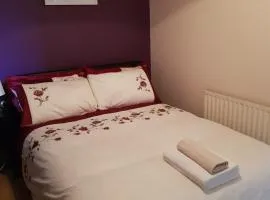 阿什米尔旅馆 