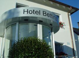 Hotel Bettina garni，位于金茨堡的酒店