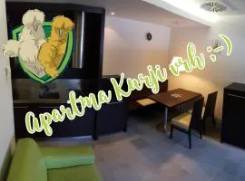 Apartma Kurji vrh - Chicken top