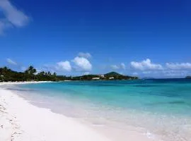 Sapphire Beach Resort and Marina