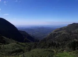 Ella Banana Rest Inn