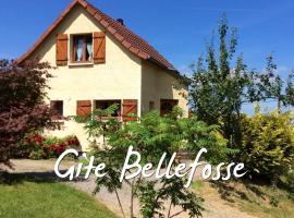 Maison independante de montagne en ALSACE，位于Bellefosse的酒店