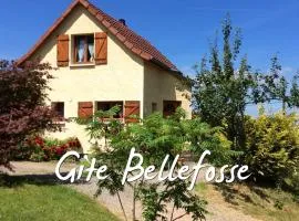 Maison independante de montagne en ALSACE