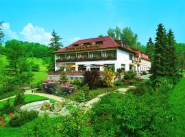 Hotel Wiesengrund，位于Lindenfels的酒店