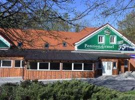 Penzion Grasel，位于Nové Syrovice的酒店