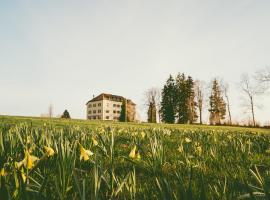 Hôtel de la Chaux-d'Abel，位于La Ferrière的酒店