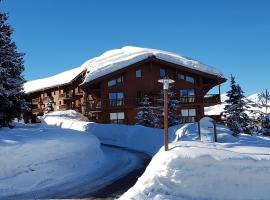 Premium Les Alpages de Chantel，位于阿克1800阿佩特滑雪缆车附近的酒店