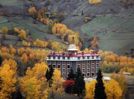 Black Forest Hotel，位于Savsat的酒店