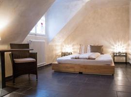 Hotel Schlüssel Allschwil，位于巴塞尔的酒店