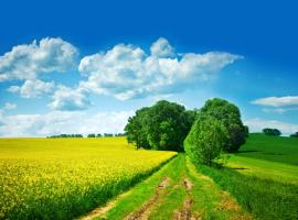 Crossland economy studios，位于奥兰多的酒店