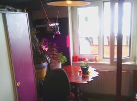 1 Female Room, Frankfurt CityCentre，位于美因河畔法兰克福的酒店