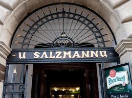 Hotel U Salzmannů，位于比尔森的酒店