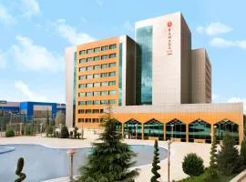 Ramada Plaza by Wyndham Gence