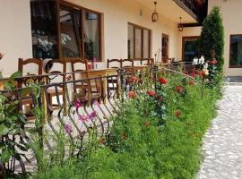 Pension Steaua Ariesului，位于阿尔巴克的酒店