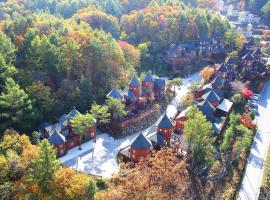 Korea Quality Elf Hotel，位于平昌的酒店