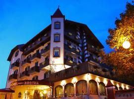 利金娜酒店，位于圣马蒂诺-迪卡斯特罗扎卡尔维德滑雪缆车附近的酒店