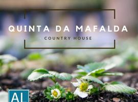 Quinta da Mafalda，位于米拉的家庭/亲子酒店