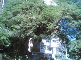 Fully Equipped ,3 BR ,centrally located flat in Mohandsseen，位于开罗的酒店