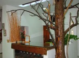Hotel Lanjaron