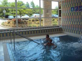 hotel delfin，位于Radzovce的酒店