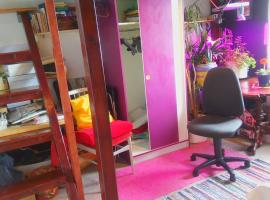 CityCentre room for 1 female persons - alternative plus 1 child，位于美因河畔法兰克福的酒店