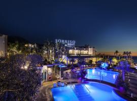 索里索特玛度假Spa酒店，位于伊斯基亚Forio di Ischia的酒店