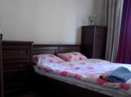 Comfortable flat near the Dnieper river in Kyiv，位于基辅的酒店