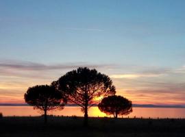 Marija Apartment，位于宁的酒店