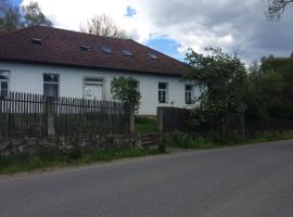 Ubytování U Lva，位于Žirovnice的酒店