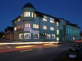 那罗兹库膳食公寓酒店，位于斯利亚奇的酒店